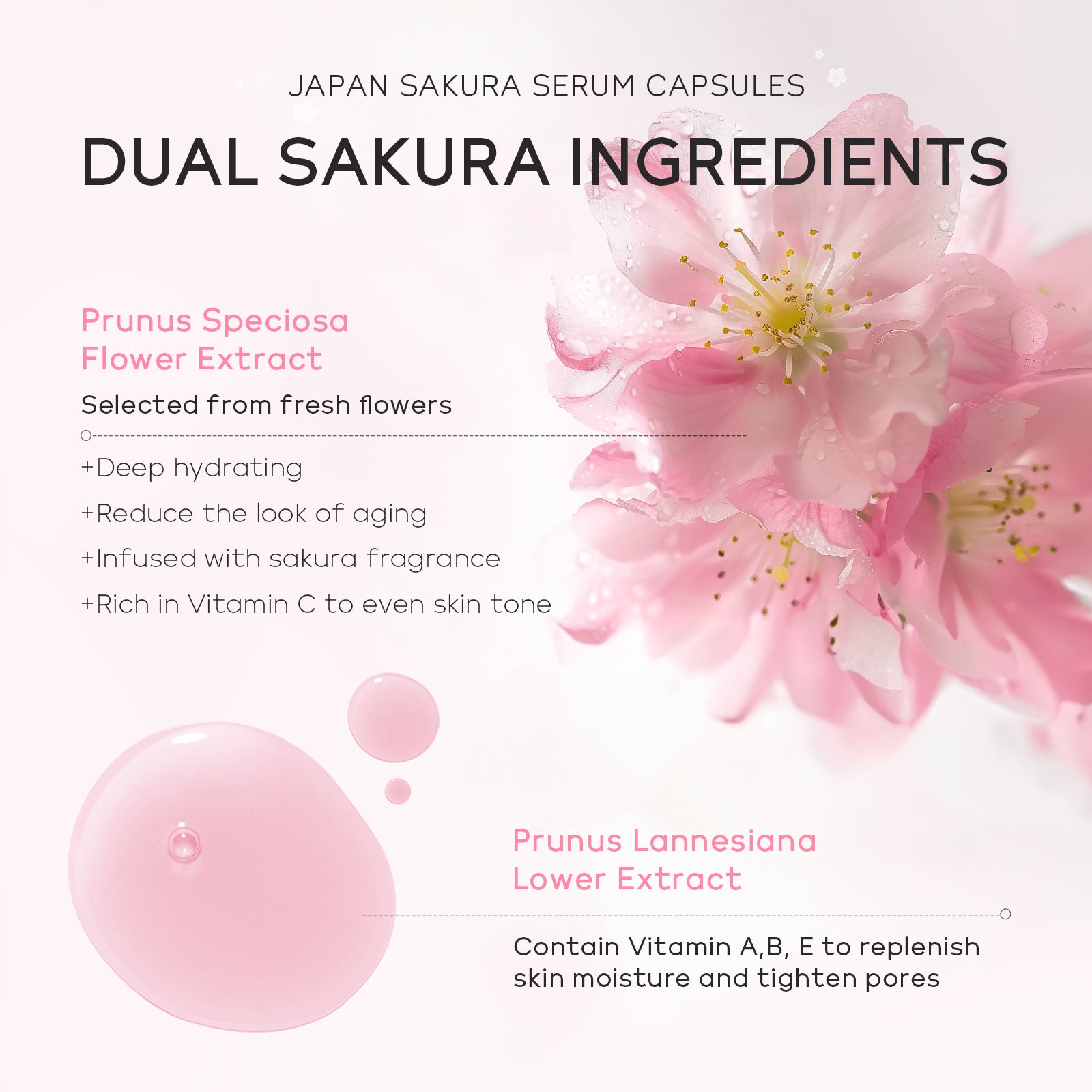 Japanese Sakura Facial Serum